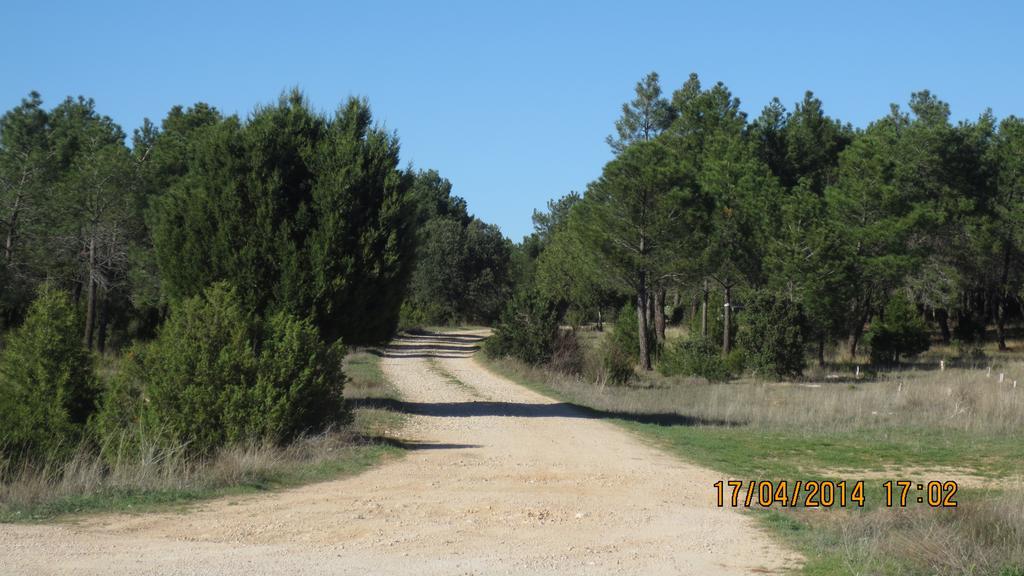 Casa Rural Patino Affittacamere Quintanas de Gormaz Esterno foto